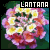 Lantana