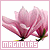 Magnolias