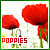 Poppies
