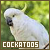 Cockatoos