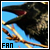 Crows