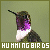 Hummingbirds