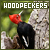 Woodpeckers
