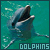 Dolphins