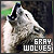 Grey wolves