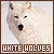 White/Arctic wolves