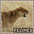 Felines