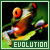 Theory of Evolution