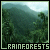 Rainforests