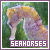 Seahorses