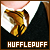 Hufflepuff House