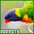Parrots